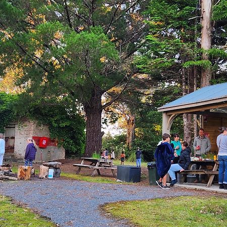 Zeehan Bush Camp Dış mekan fotoğraf